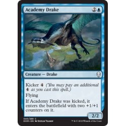 Draghetto dell’Accademia - Academy Drake