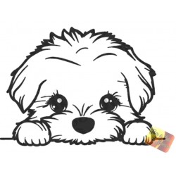 ADESIVO STICKERS CANE MALTESE CUCCIOLO 15 X 10CM AUTO MOTO IN PVC