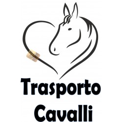 ADESIVI STICKERS TRASPORTO CAVALLI 25X17 CM IN PVC