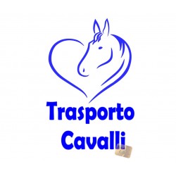 ADESIVI STICKERS TRASPORTO CAVALLI 25 X 17 CM IN PVC BLU