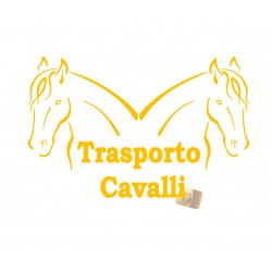 ADESIVI STICKERS TRASPORTO CAVALLI 20X11 CM IN PVC GIALLO SCURO