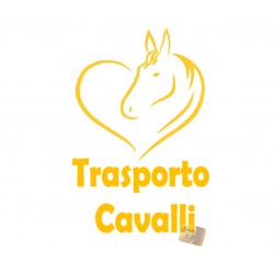 ADESIVI STICKERS TRASPORTO CAVALLI 25 X 17 CM IN PVC GIALLO SCURO