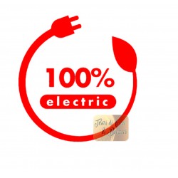 ADESIVI STICKERS 100% ELETTRIC 10 X 10 CM PVC ROSSO