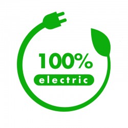 ADESIVI STICKERS 100% ELETTRIC 10 X 10 CM PVC VERDE 