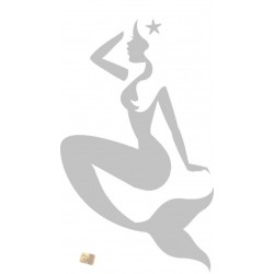 Adesivo ARGENTO AUTO CASA SIRENA 17X10 CM IN PVC VINILE PRESPAZZIATO