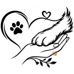 ADESIVI STICKERS CANE ZAMPA CON CON CUORE 18 X 15CM  AUTO MOTO NERO IN  PVC