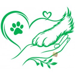 ADESIVI STICKERS CANE ZAMPA CON CUORE 18 X 15 CM  AUTO MOTO VERDE IN  PVC