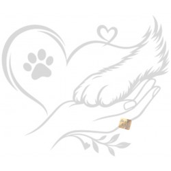 ADESIVI STICKERS CANE ZAMPA CON CUORE 18 X 15 CM  AUTO MOTO ARGENTO IN  PVC